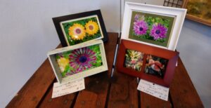 SLR photographs macro