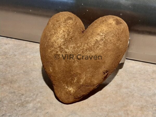 97 Happy Valentine's Day