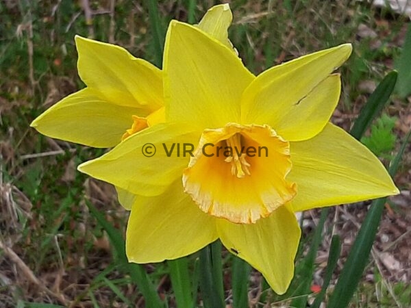 22 Spring is in the Air