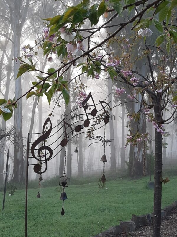 74 Misty Times