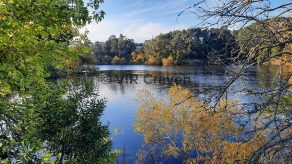 83 Tranquility - Lake Daylesford