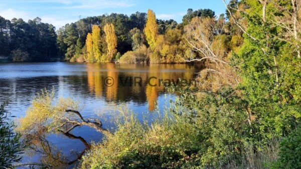 82 Autumn - Lake Daylesford