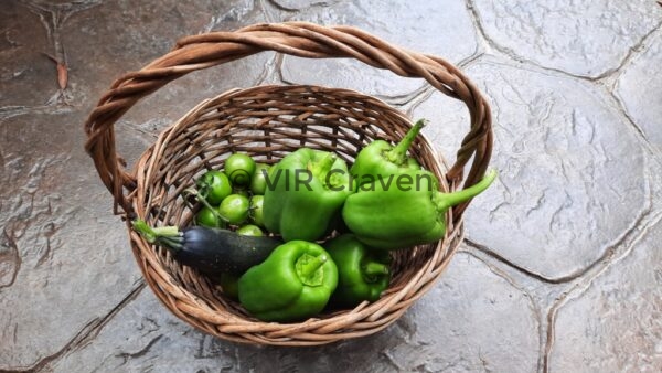 36 Garden Produce