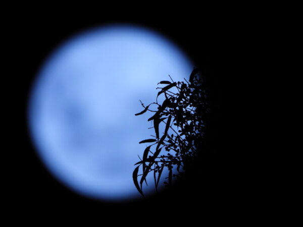 67 Magic Moon