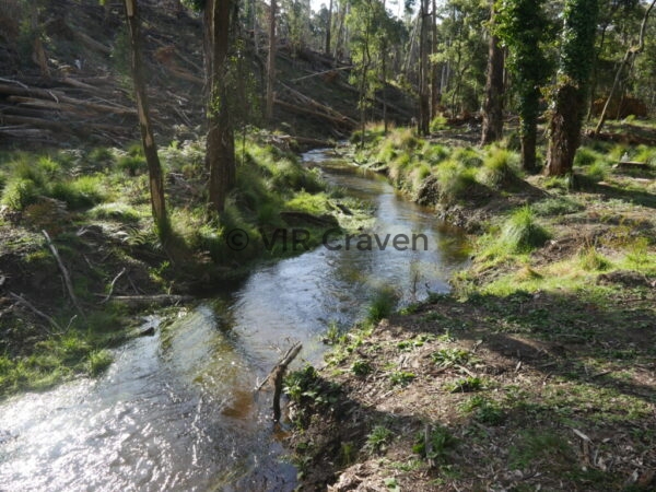 60 Glenlyon Mineral Springs Creek No. 2