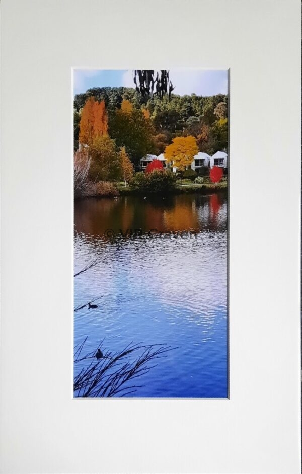 Autumn at Lake Daylesford