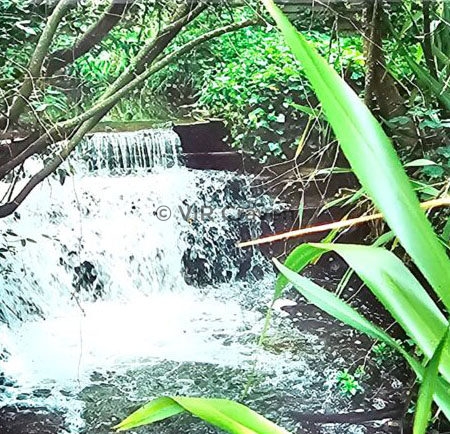 Emerald Cascade