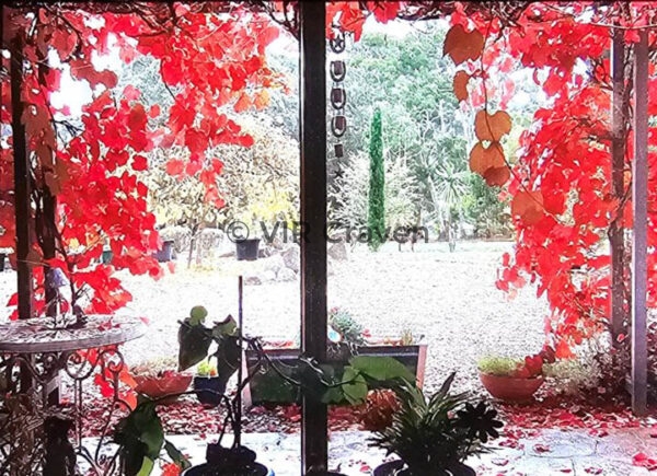 Tableau of Tranquility