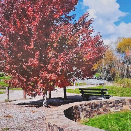 Daylesford and Surrounds 2026 Calendar #3