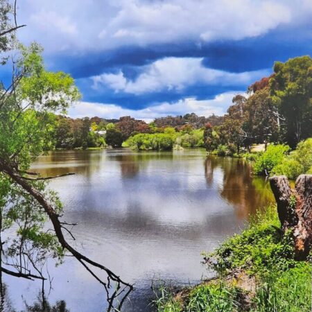 Daylesford and Surrounds 2026 Calendar #6